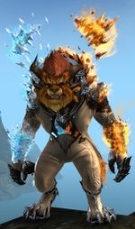 Frostfire Outfit