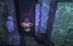 Kingdom of Fungus Hidden Room 5.jpg