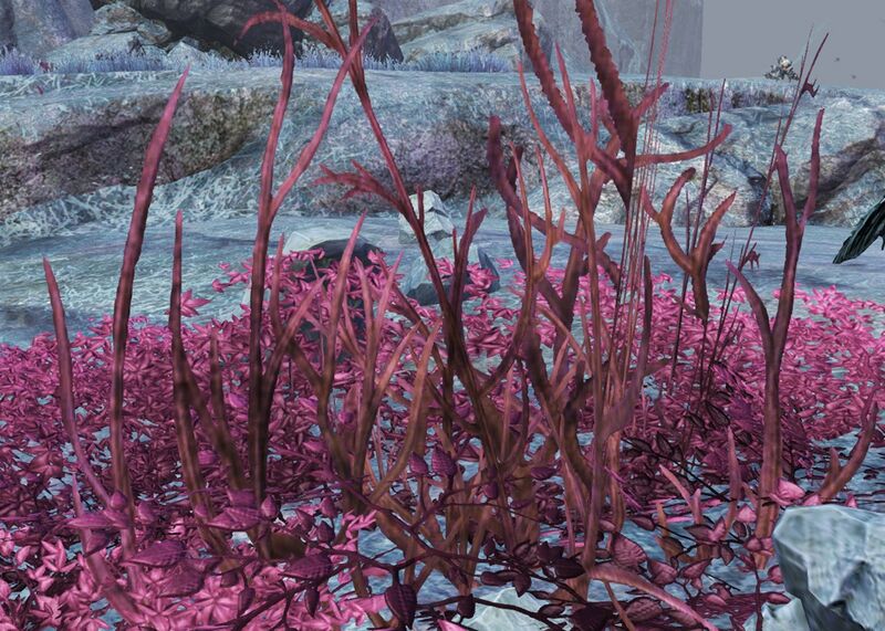 File:Leafy Bush.jpg