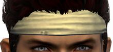 Martial Artist's Headband.jpg