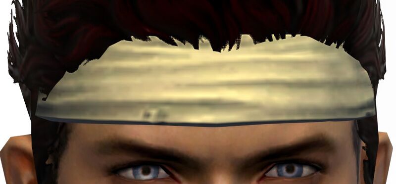 File:Martial Artist's Headband.jpg