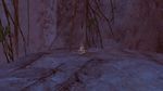 Mist-Touched Cache - Questions Screen Shot.jpg