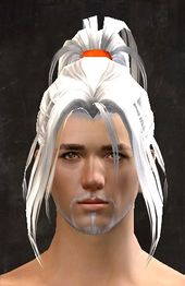 Unique human male hair front 14.jpg