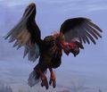 Vulture.jpg