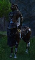 Astral Ward Scout (Centaur).jpg