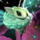 Fairy Dust Mining Tool.png