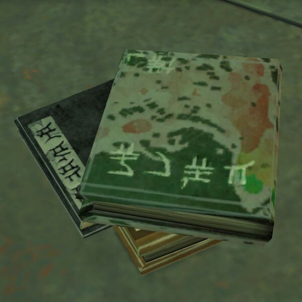File:Journal of Kaze Hawkstrider.jpg