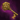 Lion's Pride.png