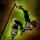 Mad Realm Short Bow.png