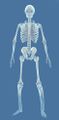 Mini Bradford the Skeleton Ghost.jpg