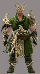 Nature's Oath Outfit