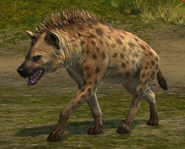 File:Spotted Hyena.jpg