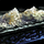 Bag of Starch.png