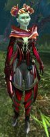 Ceara clothed.jpg
