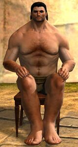 Chair (novelty) norn male.jpg
