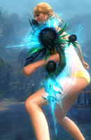 Dreamthistle Shield wielded.jpg