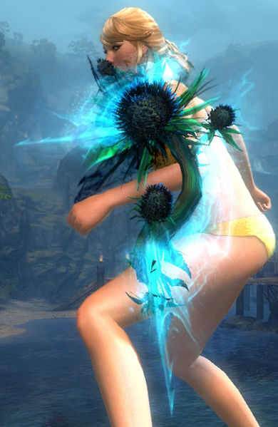 File:Dreamthistle Shield wielded.jpg