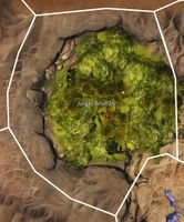 Jungle Anomaly map.jpg
