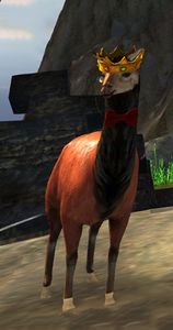 Lost Lavish Emperor Llama.jpg