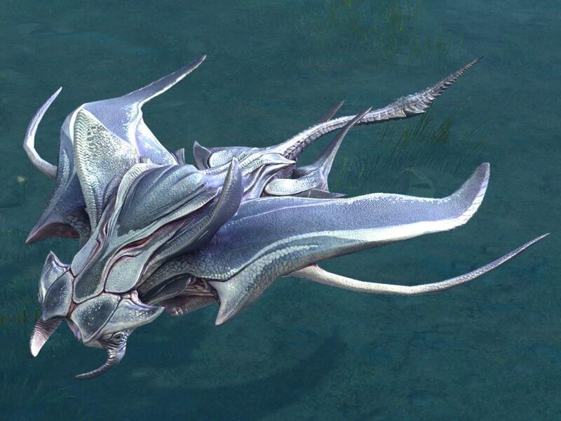 File:Skimmer (saddleless).jpg