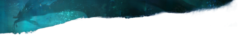 File:Skin header (End of Dragons).png