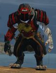 Charr male