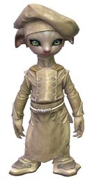 Cook's Outfit