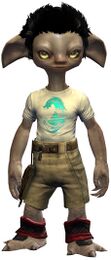 End of Dragons Emblem Clothing Outfit