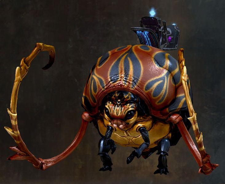 File:Flame-Brushed Roller Beetle.jpg