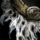 Frayed Garment.png