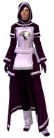 Guild Archmage armor human female front.jpg