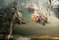 Kite City concept art.jpg
