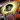 Mini Castor.png
