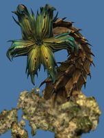 Mini Cobalt Great Jungle Wurm.jpg