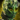 Mini Trahearne.png