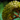 Mordrem Teragriff Spleen.png