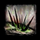 Needle Trap.png