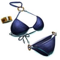 Breezy Swim Pack Icon.png