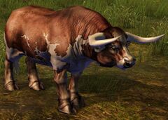 Brown Cow (alt).jpg