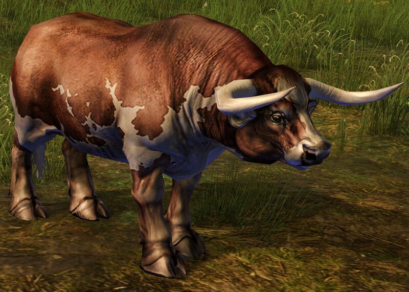 File:Brown Cow (alt).jpg
