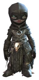Executioner's Outfit