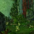 Thumbnail for version as of 17:03, 11 April 2022