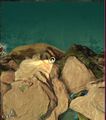Thumbnail for version as of 06:43, 24 June 2018
