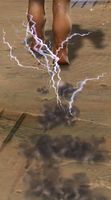 Meteorlogicus footfalls.jpg