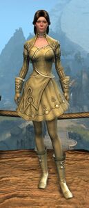 Appearance on light armor.