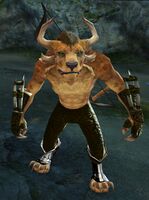 Olmakhan Nightwalker 3.jpg