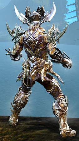 Back view in combat stance