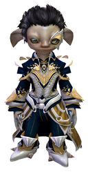 Phoenix armor asura male front.jpg