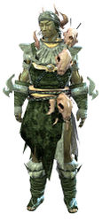 Primitive armor sylvari male front.jpg
