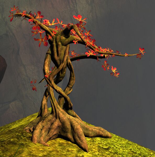File:Primordial Orchid.jpg